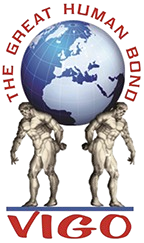 Vigo International Logo